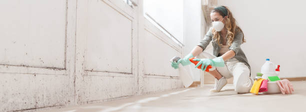 Best Black Mold Removal  in White Bluff, TN